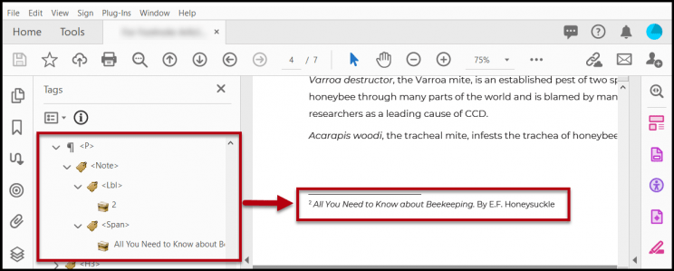 the Note tag is a child of a Paragraph tag. According to ISO 32000-1, Note tags are Inline-Level Structure Elements, so they need to go in a Block-Level element, like a P.
