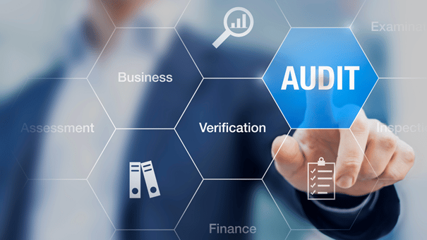 Multiple honeycomb shapes overlayed on the photo of a man with his finger pointing to one, which is labeled Audit