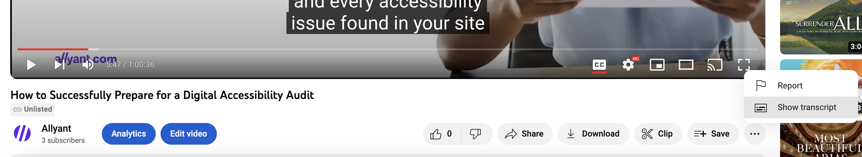 Video playing on YouTube, showing the expanded three-dot menu which allows you to view a transcript.